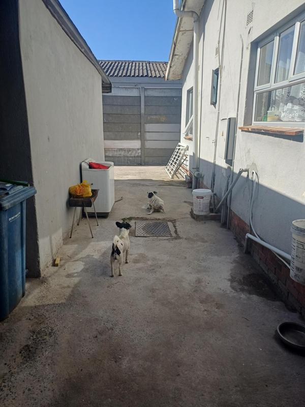 2 Bedroom Property for Sale in Ravensmead Western Cape